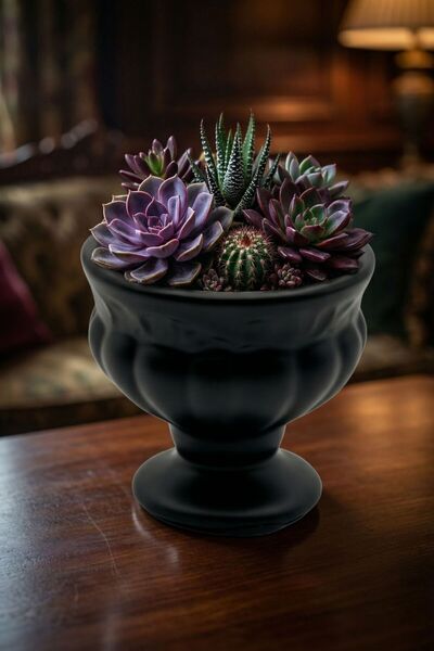 Evene Saksı Dekoratif Saksı Kaktüs Saksısı Sukulent Saksısı Küçük Saksı Model...