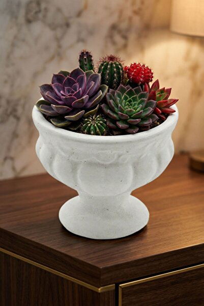 Evene Saksı Dekoratif Saksı Kaktüs Saksısı Sukulent Saksısı Küçük Saksı Model...