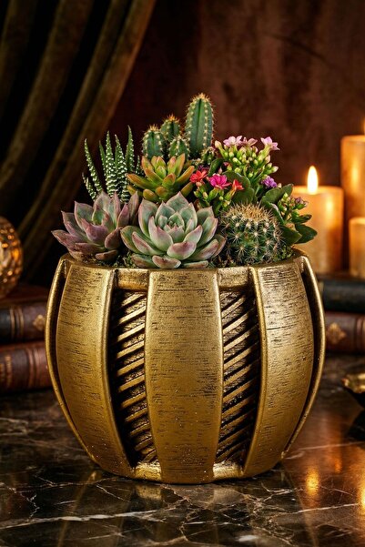 Evene Saksı Dekoratif Saksı Kaktüs Saksısı Sukulent Saksısı Küçük Saksı Model...