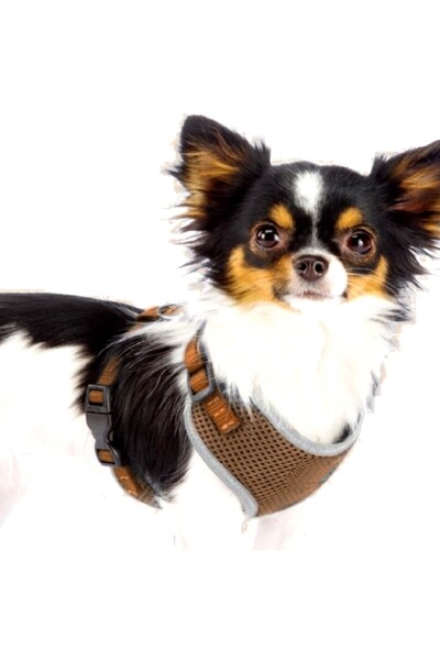 JollyMag Ham pentru caini de talie mica cu elemente reflectorizante, conforta...