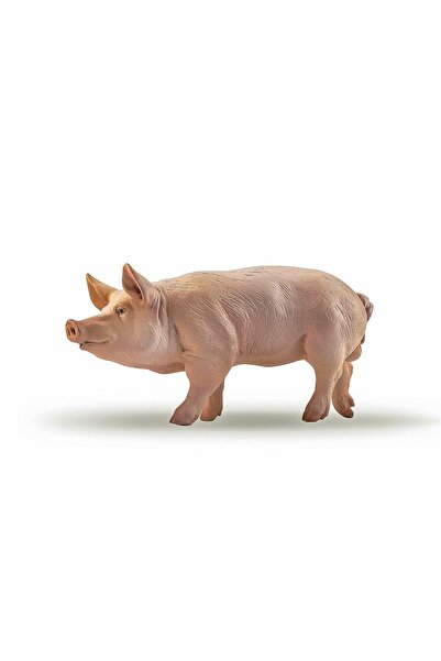 JollyMag FIGURINA PAPO PATRU