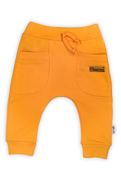 Nicol Training Pants (Big Trucks 2021 Collection, Size 74)