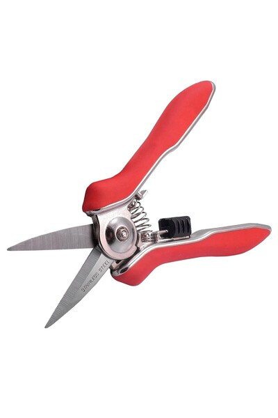 JollyMag Foarfeca mini, varf ascutit, pentru taierea si ingrijirea florilor, ...