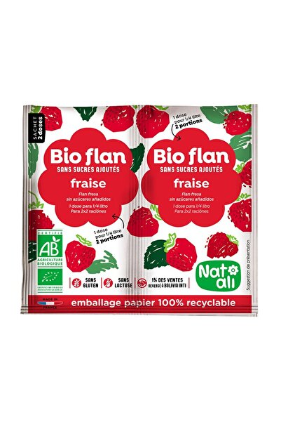 JollyMag Budincă de căpșuni, 2 x 4 g, Nat-ali