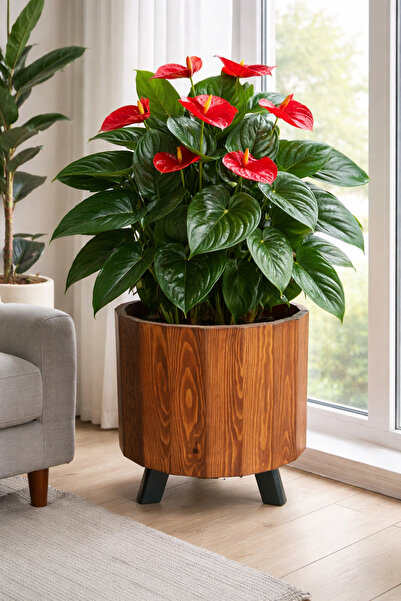 Genel Markalar Ahşap Saksı Yuvarlak Büyük Boy Saksılık Kestane Renk