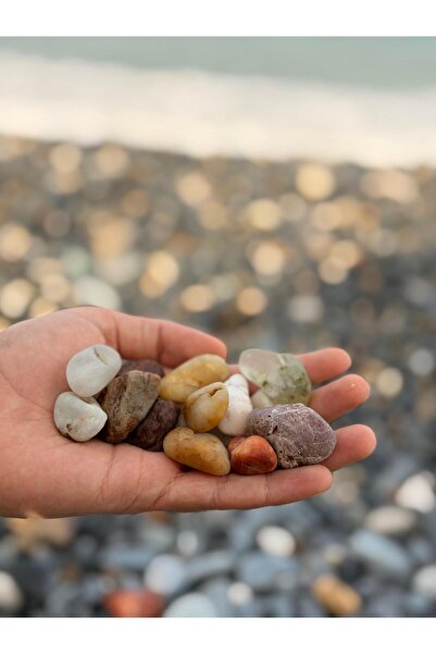 NATURE ANTIOCHIA Doğal Dekoratif Çakıl Taşı - Saksı / Teraryum / Mum Dekoru /...