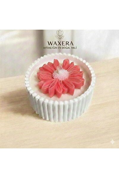 WAXERA Dekoratif Taş Tozu Mini Saksı Papatya Soya Mum Lavanta Esanslı