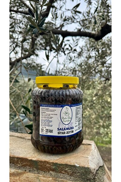 RUHİ BEY ZEYTİNLERİ Salamura Siyah Zeytin 1,6 Kg 261-320 adet
