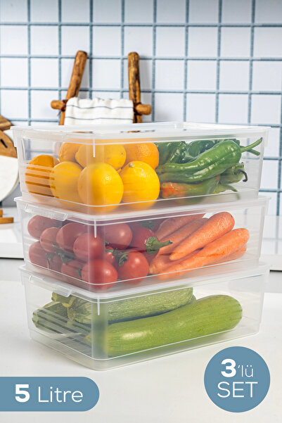 Vienev 3-Piece 5 Liter Multi-Purpose Storage Container with Transparent Lid |...