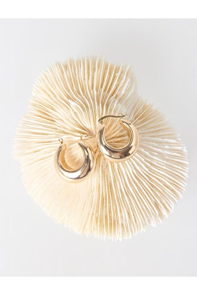 Jimmy Key Altın Rengi Parlak Halka Küpe