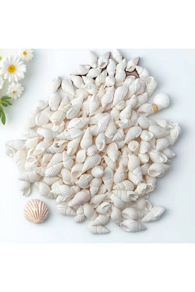 Choice 100PCS 100/200pcs Mini White Spiral Seashells - Ocean Style Home Decor...