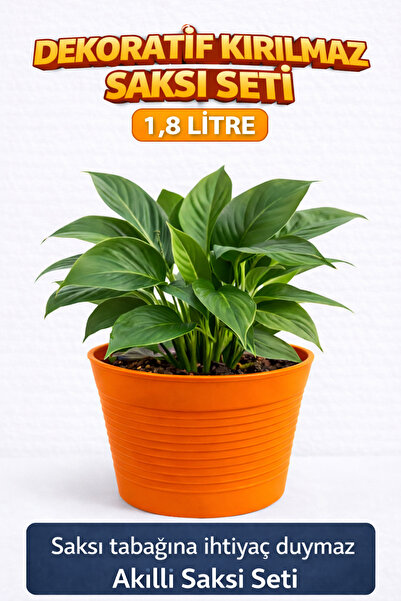 plant-home 2’li Saksı Seti | 15 Pot Şeffaf Üretim Saksısı + 1,8 L Turuncu Kır...