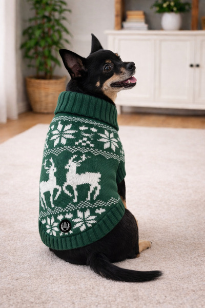 Alphadog Design Noel Green Triko Kazak