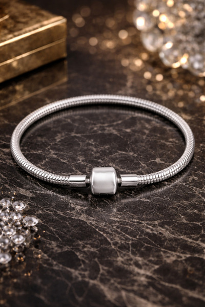 ZEYNEP KARACA Charm Uyumlu Yılan Zincir Çelik Bileklik – Kadın Minimal Model-...