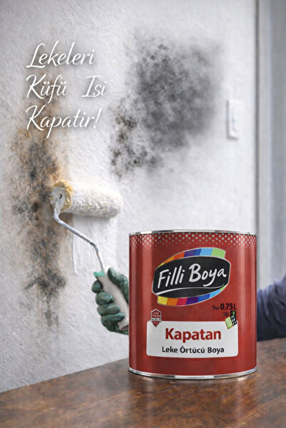 Filli Boya Kapatan Leke küf is Örtücü Sentetik Boya 0,75L