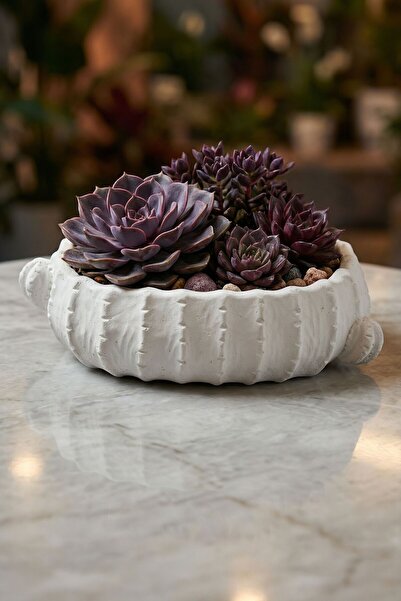 Evene Saksı Büyük Saksı Çiçek Saksısı Büyük Boy Saksı Salon Saksısı Model 3 B...