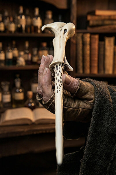 Sihir Dükkanı Lord Voldemort Asası