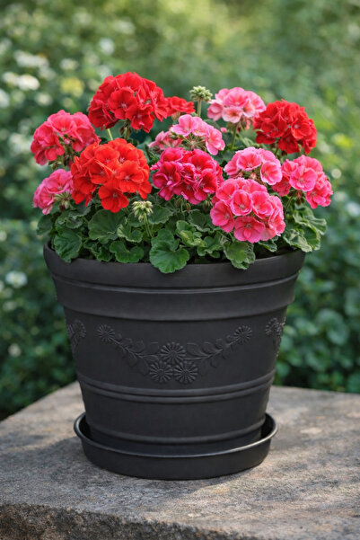 Melkan Home Papatya Desenli Dekoratif Siyah Saksı 3 Litre – Dayanıklı Çiçek S...