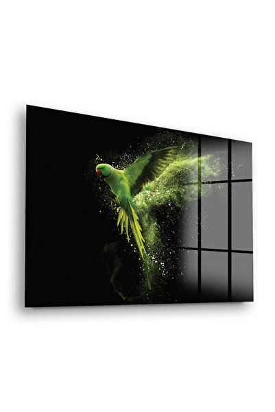 Decovetro Tablou din sticlă Parrot Paradise