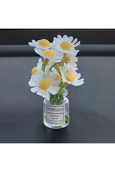 Choice زهور ديزي بيضاء رقيقة مصغرة في أصيص، ألوان متنوعة، ديكور أخضر للوحة ال...