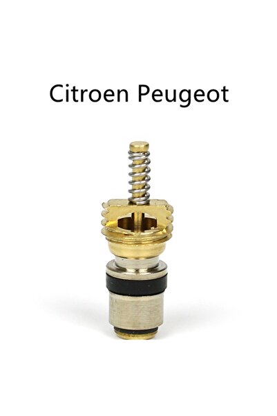 Choice1 100 قطعة، (100 قطعة) صمام واجهة وسيط التبريد لتكييف الهواء لـ Pe