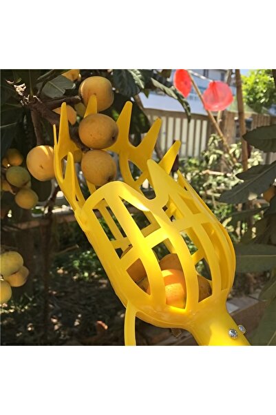 Choice قطّافة فواكه من البولي بروبيلين، برتقالي وأصفر، خفيفة الوزن، قابلة لإع...