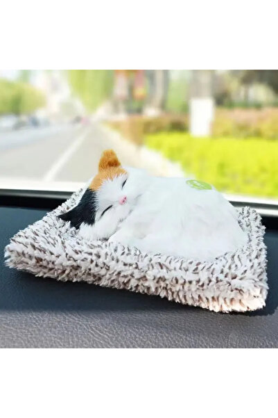 Choice ج- ألعاب قطط محشوة للأطفال، حيوانات محشوة، قطة نائمة مع لمسة، تبكي، غر...