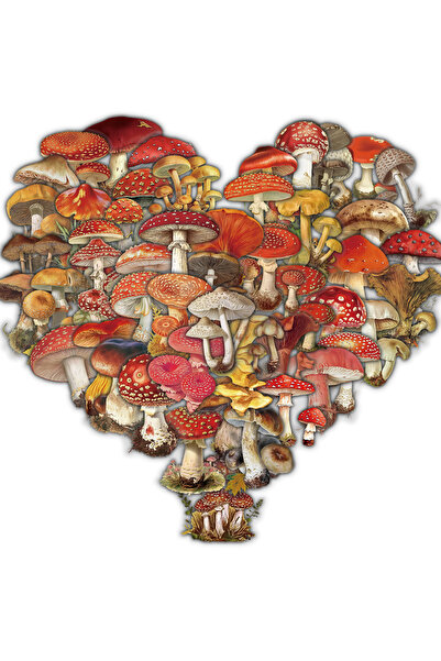 Choice ٥٠ قطعة من ملصقات الفطر ذات الطابع القديم، ديكور جمالي مستوحى من هاراج...