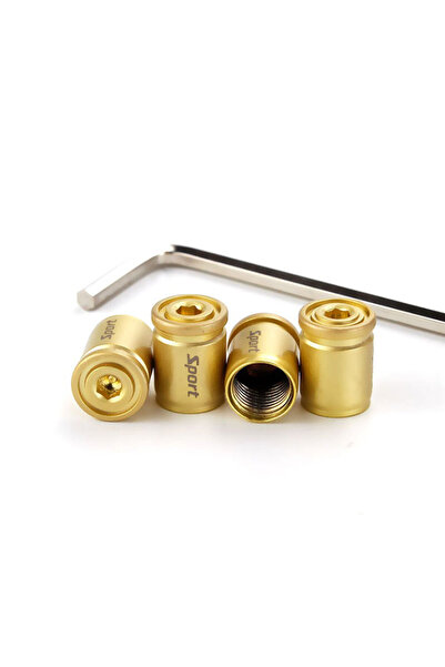 Choice Gold 4x Titanium Anti-theft Car Tire Valve Cap Aluminum Sport Exterior...