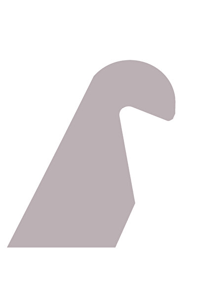 Choice ONE SIZE Professional Lock smith Tools 2 Pieces of Stainless Steel Ins...