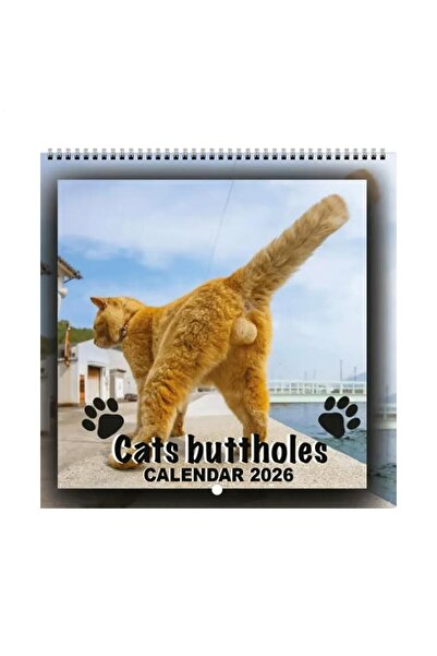 Choice تقويم حائط لعام 2026، تقويم كرات القطط لمدة 12 شهرًا، أداة تنظيم وتخطي...