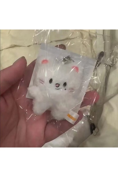 Choice AT4 Staykids SKZ Mini Keychain Pendant New SKzoo FM Field Week 5cm Plu...