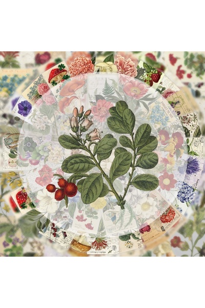 Choice ٥٠ قطعة من ملصقات جرافيتي عتيقة لنباتات وأزهار، ملصقات ورسومات نابضة ب...