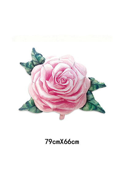 Choice 79x66cm Rose Pink Valentine's Day Painting Rose Ballons Proposal Engag...