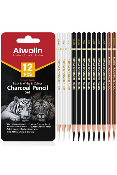 Choice مجموعة أقلام رسم فحم احترافية متنوعة (12 قطعة) - تتضمن 12 قلم فحم ناعم...