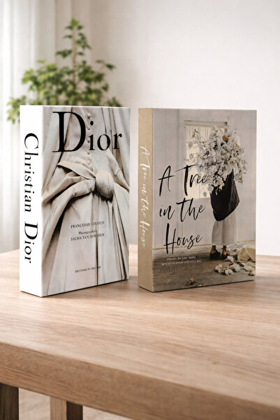 BGV HOME Decorative Book Box Set of 2 (D-A)