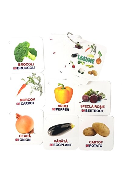 OEM Set of 18 Flashcards on Ring - Vegetables