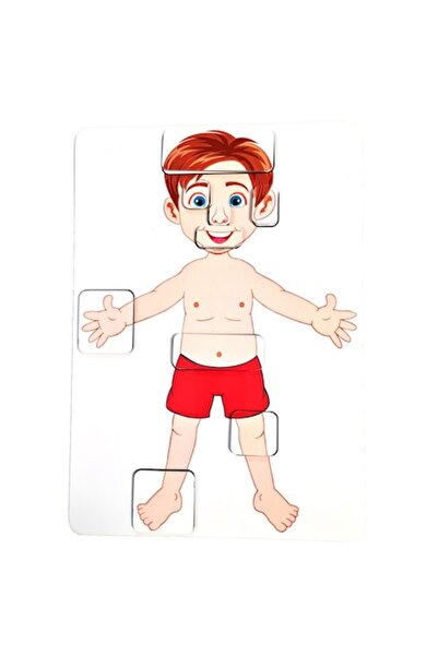 OEM Educational Chart - Human Body 20cmx30cm