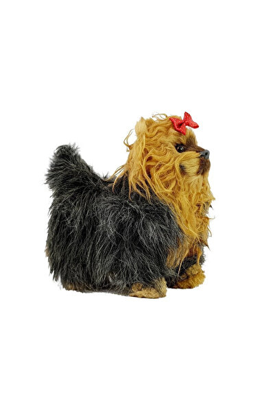 Three top online Interactive York Dog Moves, Barks