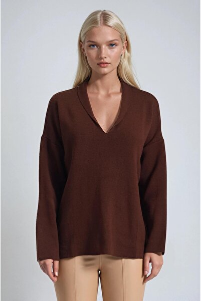 Lijuri Shawl collar detailed standard knit sweater 1422