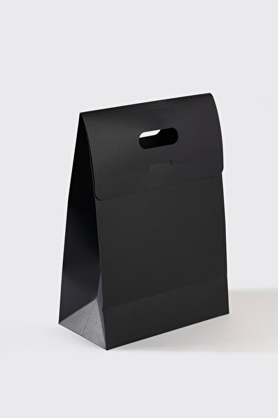 Miligram Paper 10 bucăți 29,7x42,2x15 cm Geantă de carton neagră cu închidere...