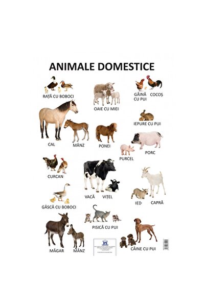 Editura DPH Plansa - Animale domestice