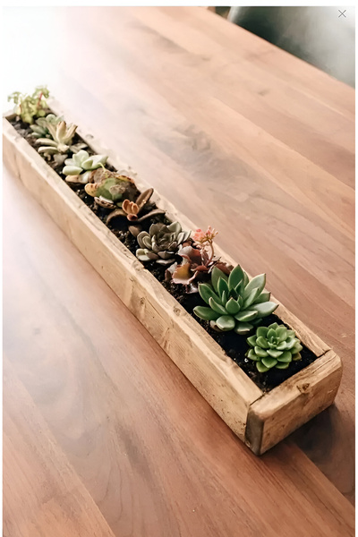 StayTrade Ahşap Aranjman Sukulent Dekoratif Ahşap Huş Ağacı Uzun Ince Saksı L...