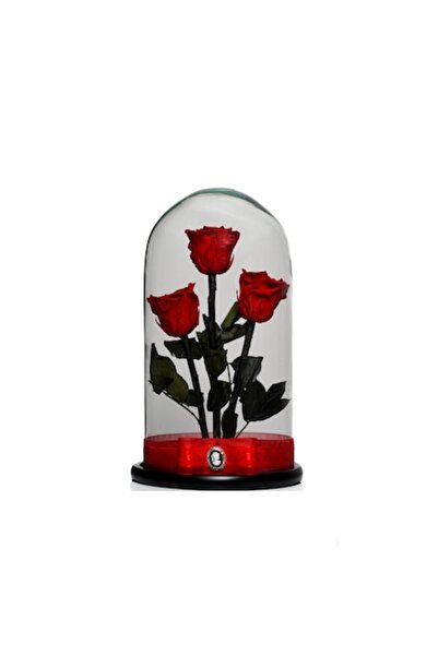 OEM Arrangement with 3 Cryogenated Roses in Glass Dome