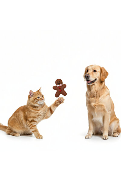 Fırsatkolik Sound Biscuit Man Biting Toy