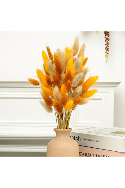 Dekora Çiçek Kurutulmuş Pamuk Otu Tavşan Kuyruğu Gelin Buketi Aranjman Çiçeği...