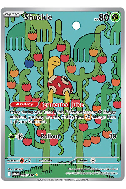 Pokemon TCG بطاقة لعبة Shuckle 136/132 Illustration Rare MEGen المرخصة من قبل...