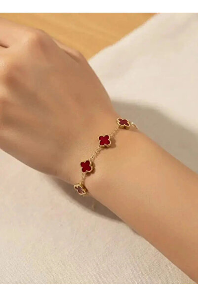 Dorvina 316L Steel Anti-Tarnish Jewelry Vc Model Burgundy Clover Silver Color...