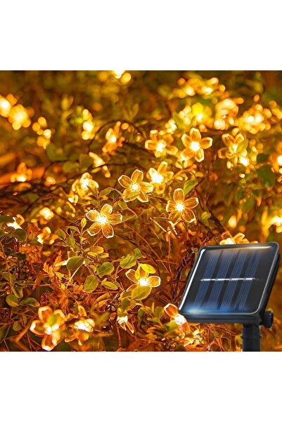 Choice سلسلة أضواء زينة تعمل بالطاقة الشمسية بطول 5 أمتار، مزودة بـ 20 مصباح ...