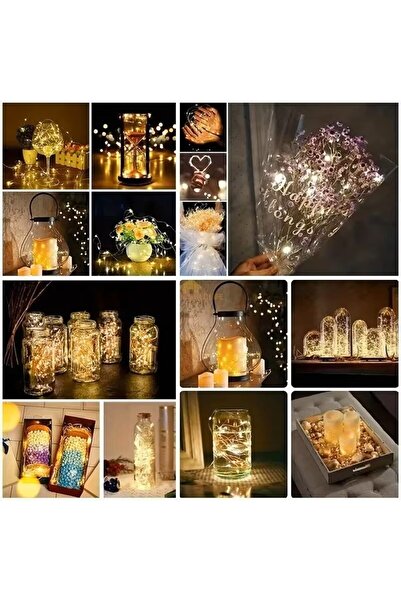 Choice سلسلة إضاءة LED بطول متر واحد، 10 مصابيح LED بيضاء دافئة، 10 قطع، تعمل...